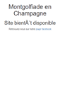 Mobile Screenshot of montgolfiade-en-champagne.fr